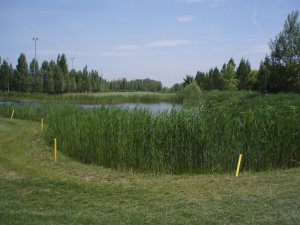 Klicken Sie hier, um das große Bild anzusehen: Golfclub Frühling; Bildquelle: www.golf-treff.at