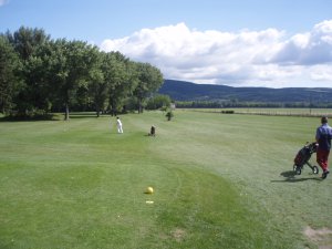 Klicken Sie hier, um das große Bild anzusehen: Golfclub Hainburg; Bildquelle: golf-treff.at