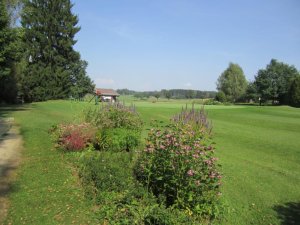 Klicken Sie hier, um das große Bild anzusehen: Golfclub Litschau Herrensee; Bildquelle: golf-treff.at