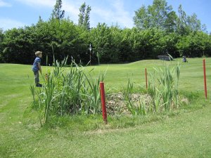 Klicken Sie hier, um das große Bild anzusehen: Golfclub Laab im Walde; Bildquelle: www.golf-treff.at