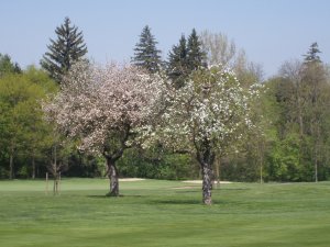 Klicken Sie hier, um das große Bild anzusehen: Golfclub Schloss Schönborn; Bildquelle: www.golf-treff.at