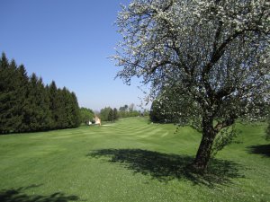 Klicken Sie hier, um das große Bild anzusehen: Golfclub Linz St.Florian Tillysburg; Bildquelle: www.golf-treff.at