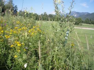 Klicken Sie hier, um das große Bild anzusehen: GC Ennstal Weissenbach; Bildquelle: golf-treff.at