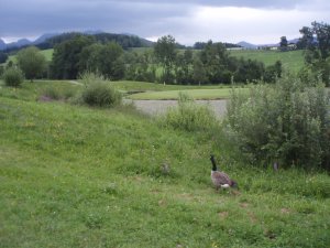 Klicken Sie hier, um das große Bild anzusehen: Golfclub Reiting-Gai; Bildquelle: golf-treff.at