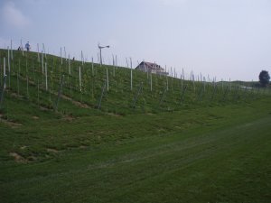 Klicken Sie hier, um das große Bild anzusehen: Traminergolf Klöch; Bildquelle: golf-treff.at