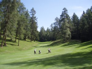 Klicken Sie hier, um das große Bild anzusehen: Golfclub Seefeld-Wildmoos; Bildquelle: golf-treff.at