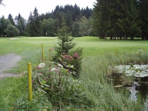 Klicken Sie hier, um das große Bild anzusehen: Kaiserwinkl Golf Kössen; Bildquelle: www.golf-treff.at