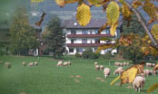 Almenlandhof; Bildquelle: Almenlandhof
