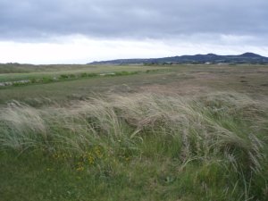 Klicken Sie hier, um das große Bild anzusehen: Portmarnock Golf Club; Bildquelle: www.golf-treff.at