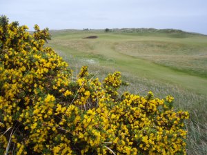 Klicken Sie hier, um das große Bild anzusehen: Portmarnock Golf Club; Bildquelle: www.golf-treff.at