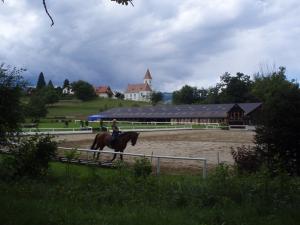 Klicken Sie hier, um das große Bild anzusehen: GC Schloss Frauenthal; Bildquelle: golf-treff.at