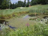 Klicken Sie hier, um das große Bild anzusehen: GC Schloss Frauenthal; Bildquelle: golf-treff.at