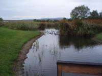 Klicken Sie hier, um das große Bild anzusehen: Golfclub Neusiedlersee-Donnerskirchen; Bildquelle: golf-treff.at