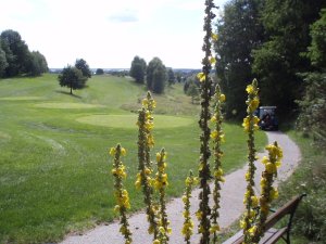 Klicken Sie hier, um das große Bild anzusehen: Golfclub Waidhofen an der Thaya; Bildquelle: www.golf-treff.at